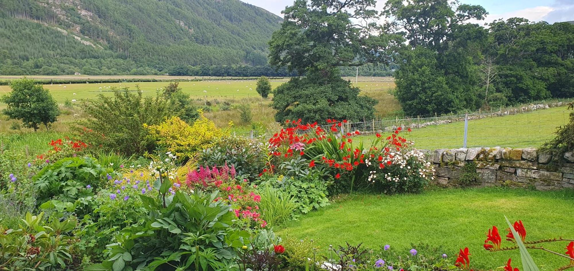 Clachan Farmhouse B & B Ullapool Exteriör bild